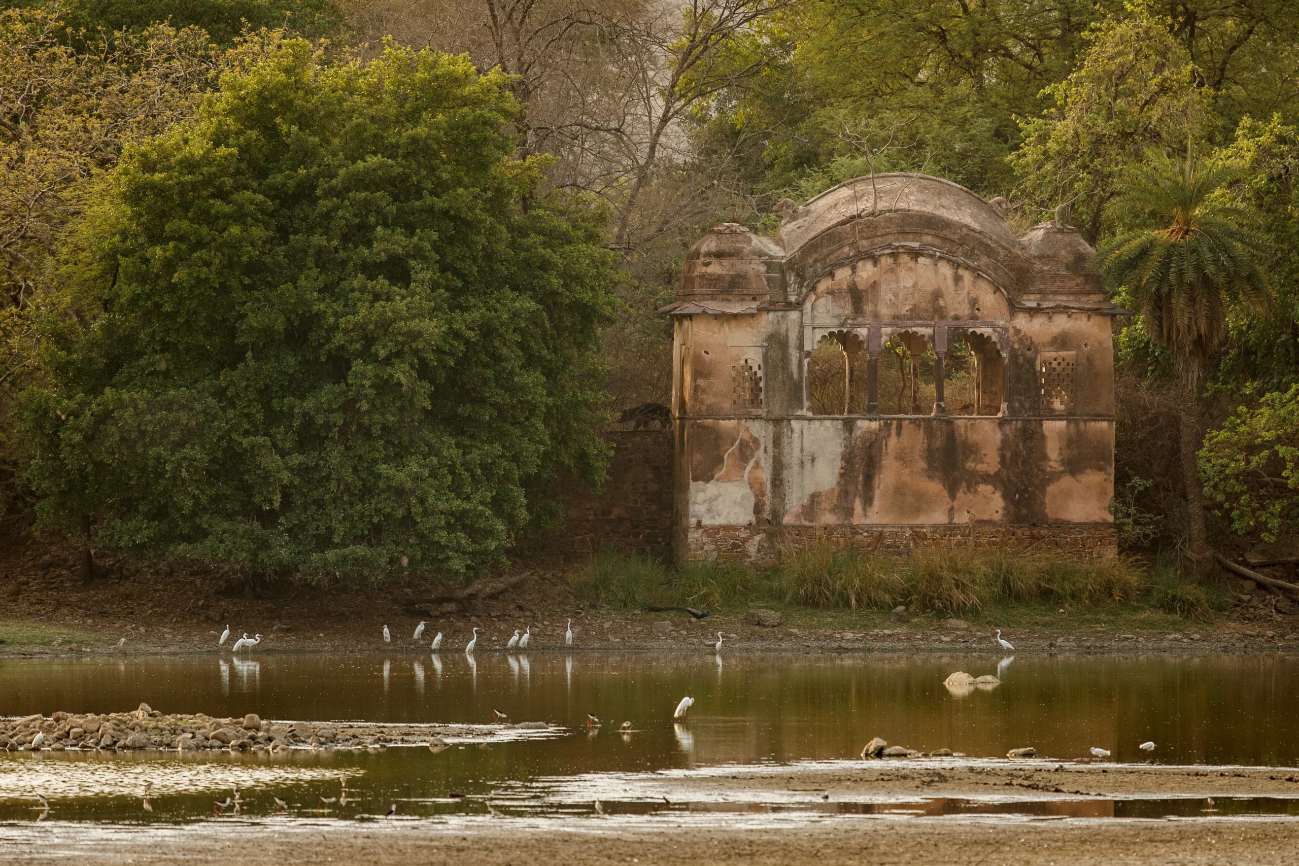 tadobagateway-Blogcover