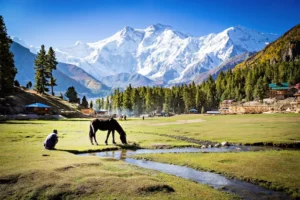 Kashmir tour in summer